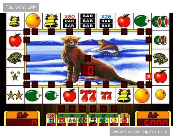 如何快速下载安装老虎机真人版游戏，详细步骤与注意事项解析